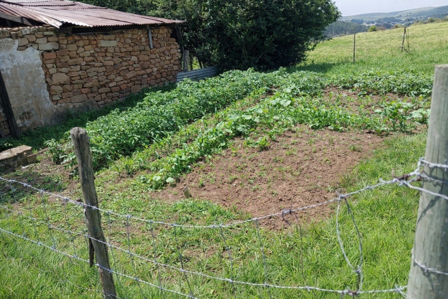 3 Bedroom Property for Sale in Maclear Rural Eastern Cape